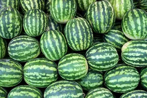Watermelon Wallpapers Screenshot 3
