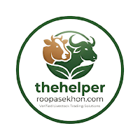 The Helper Roopa Sekhon