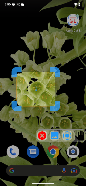 Alpha Cat Screen Recorder Screenshot 0