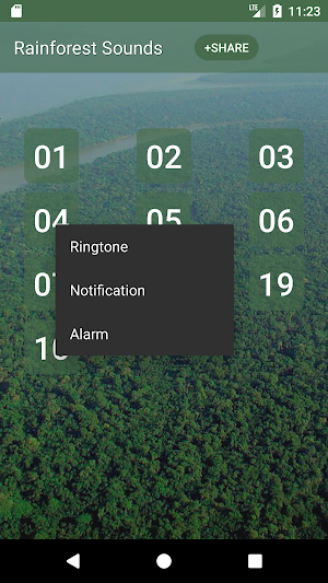 Rainforest Sounds Screenshot 1