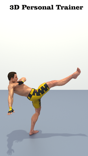 Capoeira Workout At Home - Mastering Capoeira Screenshot 3