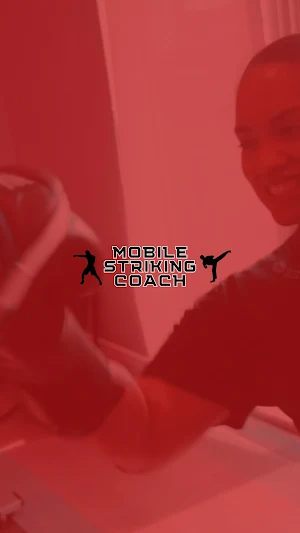 Mobile Striking Coach Screenshot 0