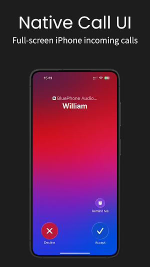 Blue Phone Screenshot 2
