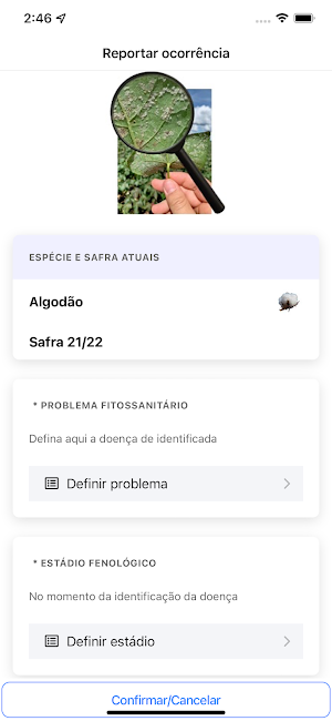 Monitora Oeste Screenshot 3