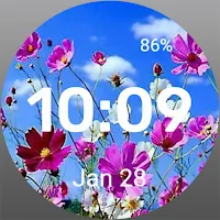 Summer Time WatchFace
