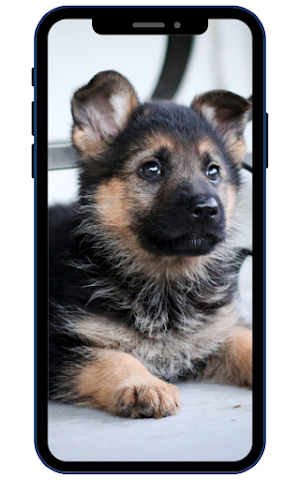 German Shepherd Wallpapers Screenshot 3