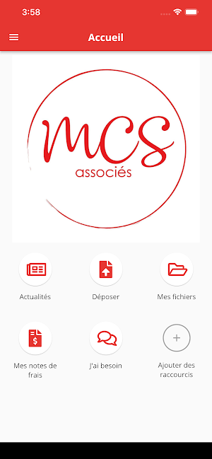 MCS ASSOCIES Screenshot 1