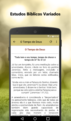 Estudos Bíblicos Variados Screenshot 1