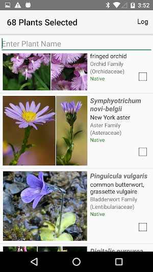 Newfoundland Wildflowers Screenshot 2