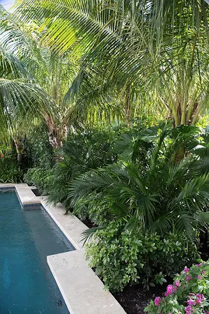 Swimming Pool Landscaping Screenshot 1
