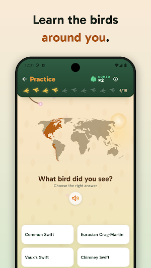Birdey: Real Bird Card Game Screenshot 1