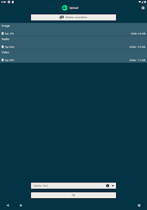4Media Screenshot 3