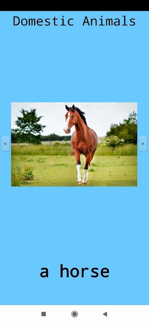 Animals ვისწავლოთ ცხოველები Screenshot 2