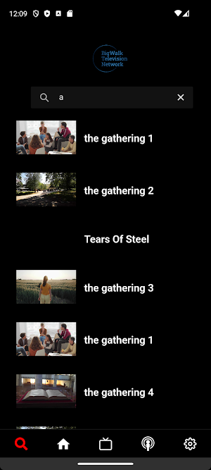 BigWalk Television Network Screenshot 1