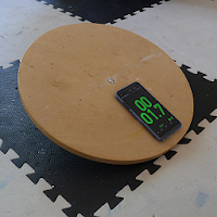 Balance Timer for Wobble Board