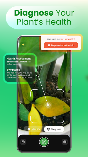 AI Plant Identifier App Screenshot 3