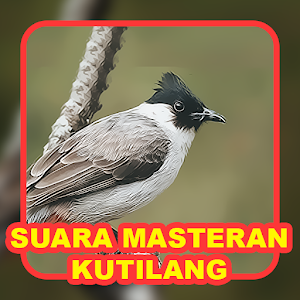 Suara Burung Kutilang Screenshot 3