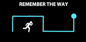 Ball Maze Runner Labyrinth Screenshot 3