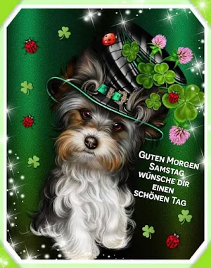 Guten Morgen für Sie Screenshot 3