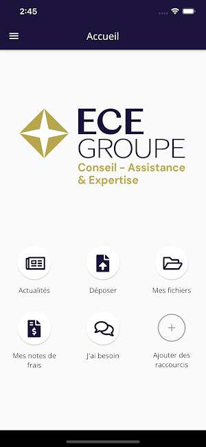 ECE Groupe Screenshot 0