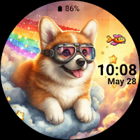corgi dog_003