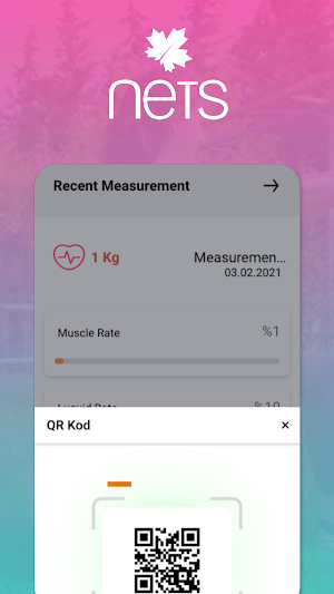 Nets Screenshot 3