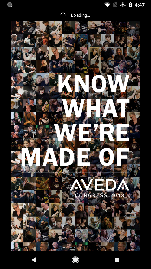 Aveda Congress Screenshot 0
