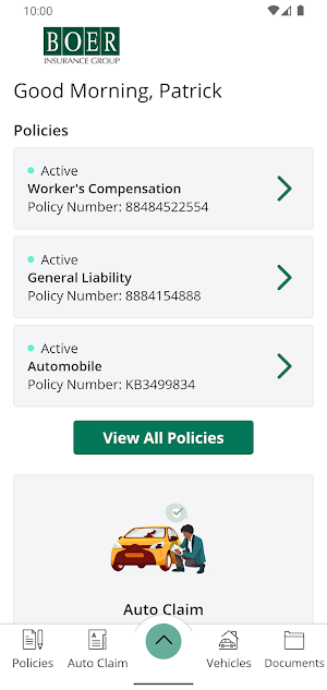 Boer Insurance Group Screenshot 1