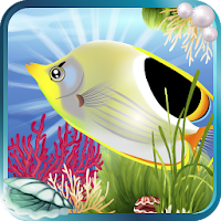 Coral Reef