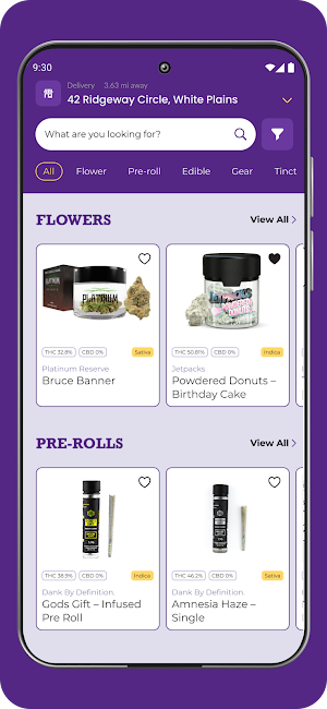 The Purple Owl Screenshot 1