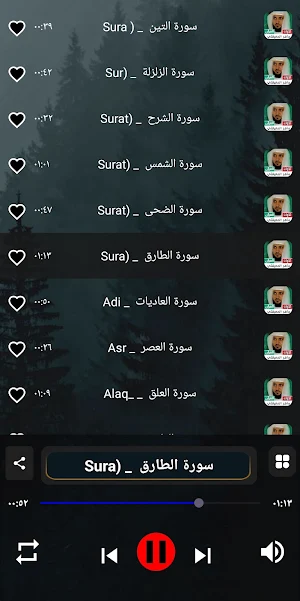 جزء عم ماهر المعيقلي | بدون نت Screenshot 1