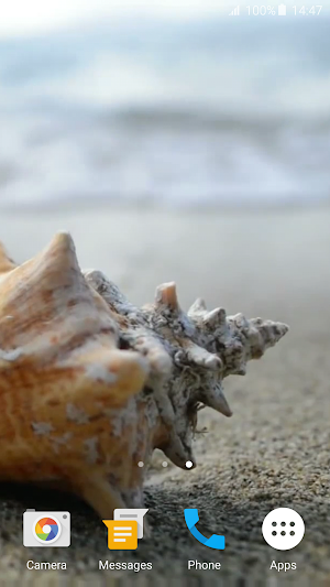 Sea Shell 4K Live Wallpaper Screenshot 1