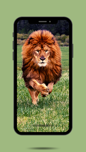 Lion Ringtone Screenshot 1