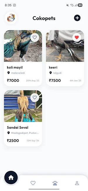 Cokopets Screenshot 1