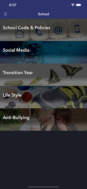St Flannan’s College Screenshot 2