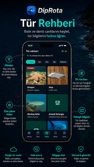 DipRota Screenshot 3