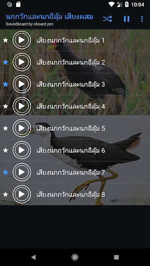 เสียงนกกวักและนกอีลุ้ม ตัวใหม่ Screenshot 3