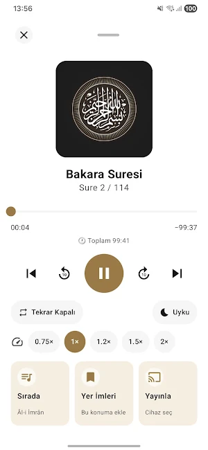 Kuran-ı Kerim Türkçe Meali Screenshot 1