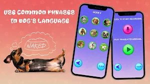 Translator for Dogs Prank Screenshot 3