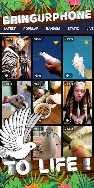 dove wallpaper Screenshot 1