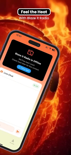 Blaze It Radio Screenshot 2