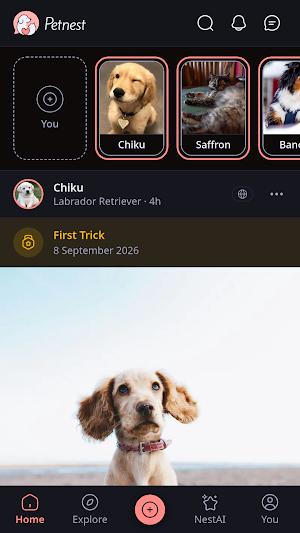 PetNest Screenshot 0
