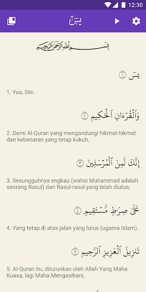 Surah Yasin with Translation a Screenshot 0
