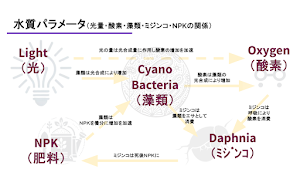 Daphnia Simulator：光センサーでミジンコ育成 Screenshot 1