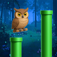Night Owl Dash