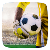 Goalkeeper Training Guide