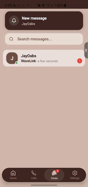 WaveLink Screenshot 2