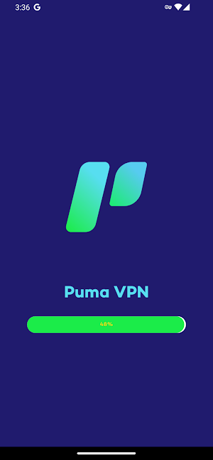 Puma VPN: Agile Safe Pathway Screenshot 0