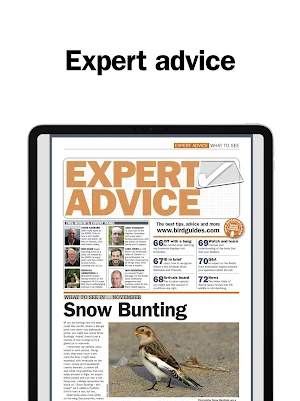 Birdwatch Magazine Screenshot 3
