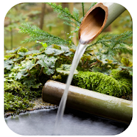 Bamboo Water Fountain